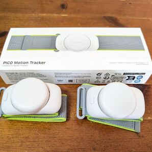 Pico Motion Tracker