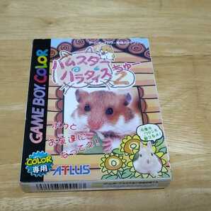 ★GBC「ハムスターパラダイス2ちゅー(HAMSTER PARADISE2)」箱・取説付き/ATLUS/GAMEBOY COLOR/シミュレーション/SLG/レトロゲーム★の画像1