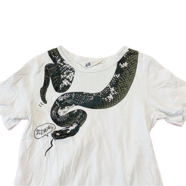 H&M ヘビ柄のTシャツ&ハーフパンツ 上下セット キッズ 100cm相当 3-4才
