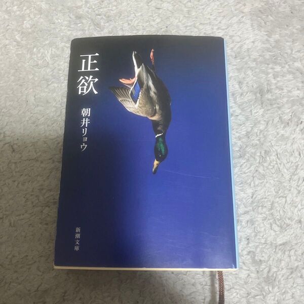 正欲 (新潮文庫 あ-78-3) 朝井リョウ/著