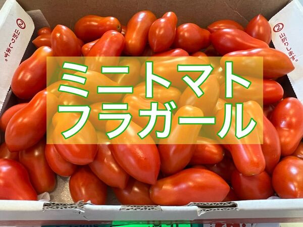 ミニトマト(フラガール)2kg