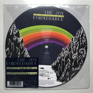 The Joy Formidable I Don't Want To See You Like This 7インチレコード