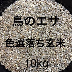 鳥餌 米 玄米 飼料 動物 色選落ち米 餌◎10kg