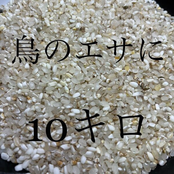 鳥餌/米 色選落ち米 飼料/小動物 餌◎10kg
