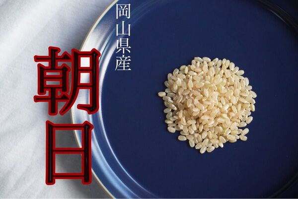 岡山県産 朝日米 令和6年産玄米1kg