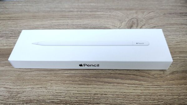 Apple Pencil(USB-C)MUWA3ZA/A