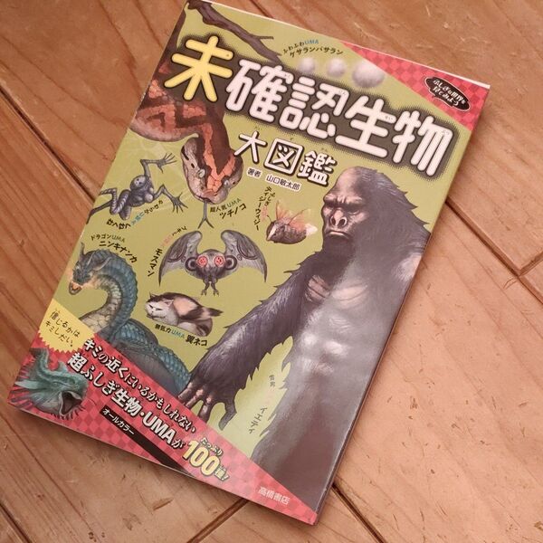 未確認生物大図鑑 (ふしぎな世界を見てみよう) 山口敏太郎/著