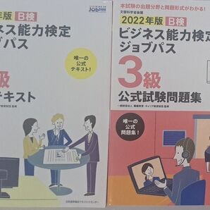 2022年版 ビジネス能力検定ジョブパス3級公式テキスト + 問題集 2冊セット