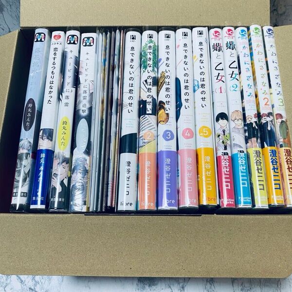 BLコミック まとめ売 ボーイズラブ