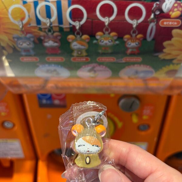とっとこハム太郎 めじるしアクセサリー ちゅー! ハム太郎
