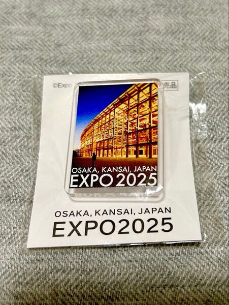 【非売品】大阪・関西万博 ピンバッチ ミャクミャクハウス