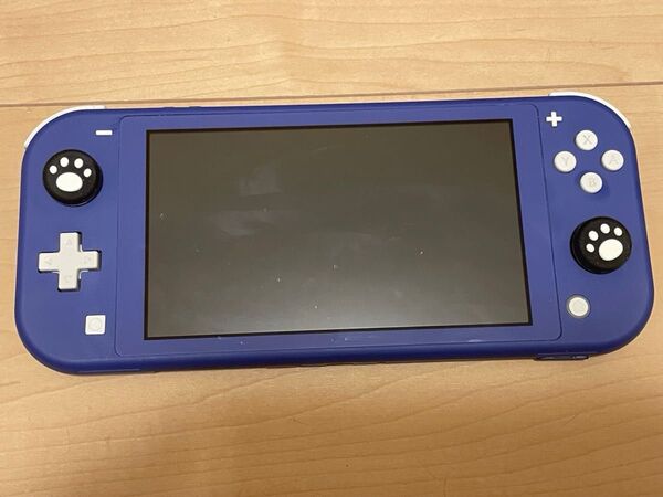 概ね綺麗 動作良好 Nintendo Switch Lite ブルー ニンテンドースイッチライト 任天堂