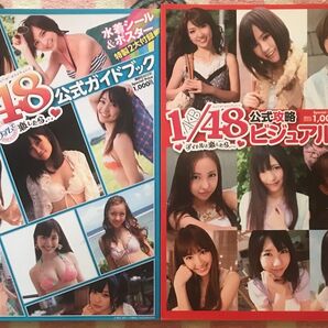 AKB48 1/48 アイドルと恋したら 公式ガイドブック