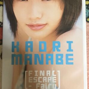 眞鍋かをり DVD『FINAL ESCAPE FAIRY』