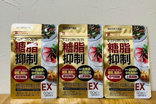 糖脂抑制源 EX 60粒 30日分 3袋 ダイエット 脂質 ターミナリアアベリリカ 由来没食子酸配合 ターミナリアパーフェクト