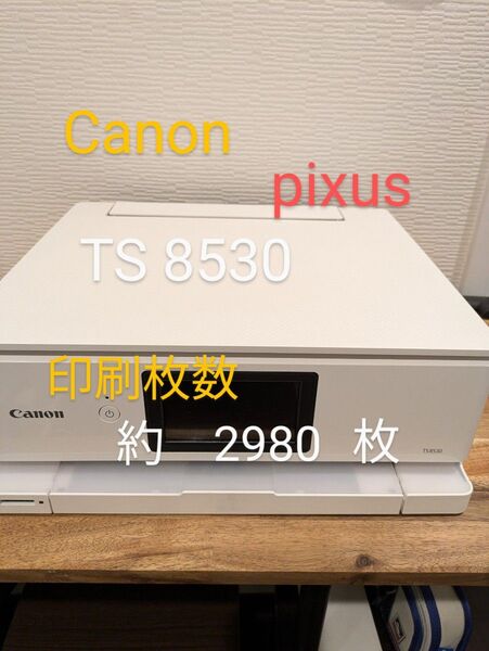 Canon pixus TS 8530 ホワイト
