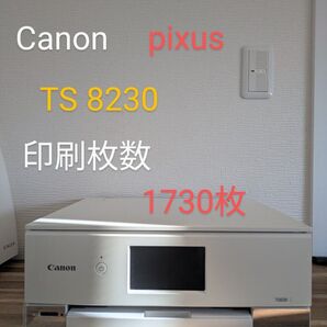 Canon pixus TS 8230