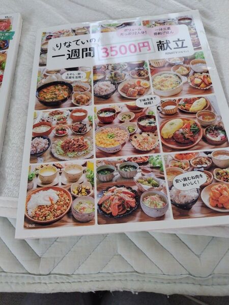 りなてぃの一週間3500円献立