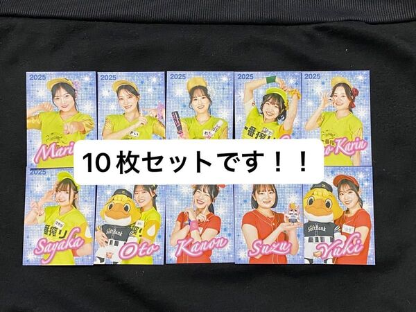 福岡ソフトバンクホークス みずほPayPayドーム キリンビール 売り子カード 10枚 2025年 コンプリート