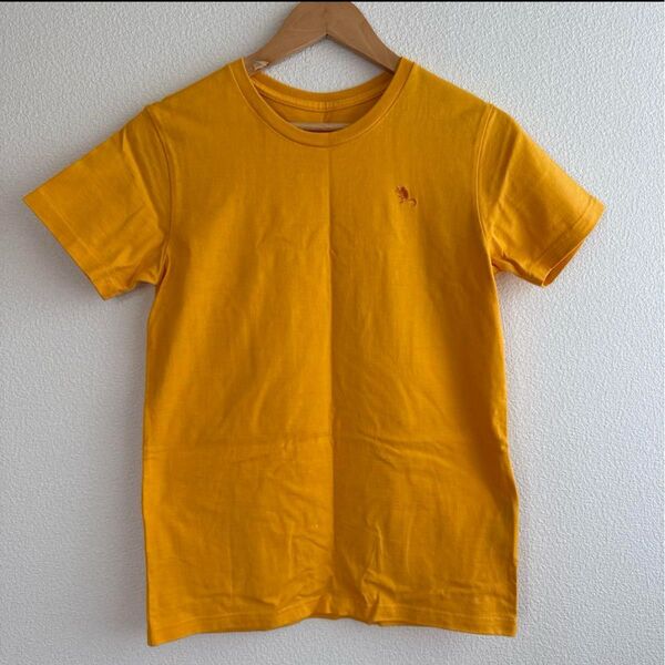 THE NORTH FACE ノースフェイス 半袖Tシャツ