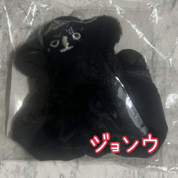 新品未開封 NCT127 シュシュ ジョンウ THE MOMENTUM ヒトデ マスコット ぬいぐるみ JUNGWOO