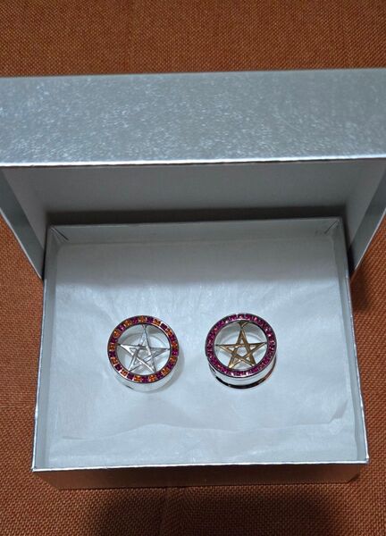 【バラ売り可】ANATOMETAL アナトメタル ピアス