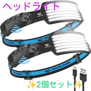 ★お得な2個セット★ 充電式ヘッドライト 人気商品 Smiling Shark LED 新品未使用 2個セット USB