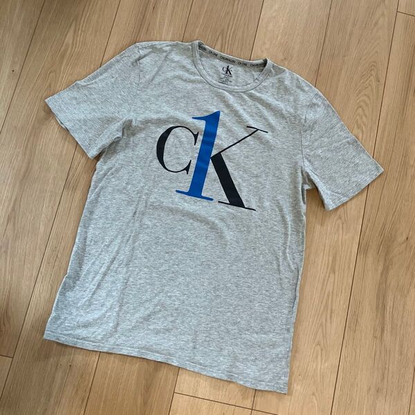 Calvin Klein CK ONE Tシャツ グレー ロゴ入り S M 黒