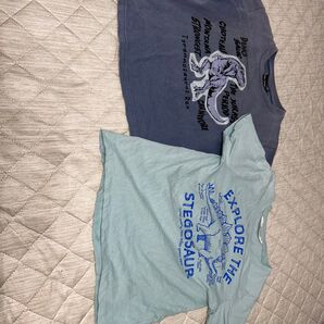 恐竜Tシャツ 2枚セット130