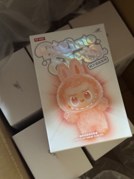 新品 LABUBU THE MONSTERS BigIntoEnergy 6箱