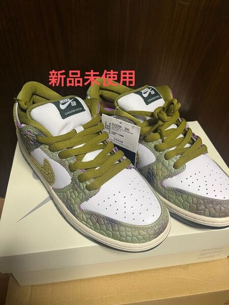 新品未使用 NIKE SB DUNK PRO