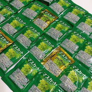 こんにゃくゼリー 個包装 40個