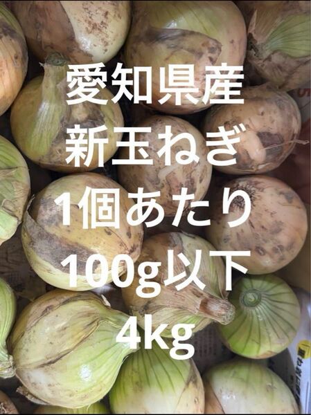 愛知県産新玉ねぎ1個あたり100g以下4kg
