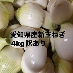 愛知県産 新玉ねぎ 4kg訳あり
