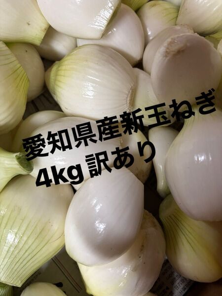 愛知県産新玉ねぎ4kg訳あり