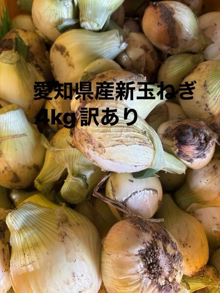 愛知県産 新たまねぎ 農家直送訳あり4kg
