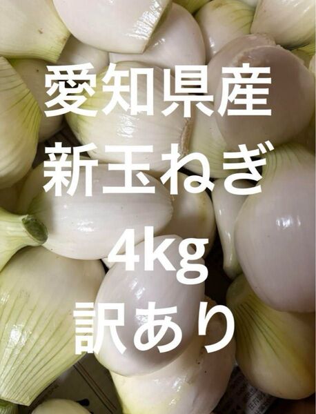 愛知県産 新玉ねぎ4kg 訳あり 農家直送