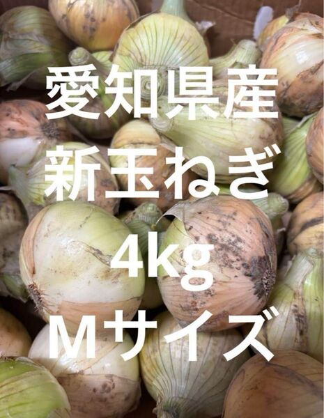 愛知県産 新たまねぎ 4kg Mサイズ