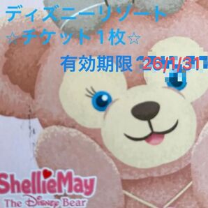 ディズニーリゾートチケット 1枚