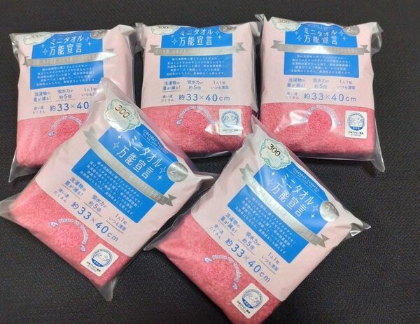 OBORO TOWEL ミニタオル 万能宣言 2枚組x5 P/RP 日本アトピー協会推薦 おぼろタオル ハンカチ まとめ売り