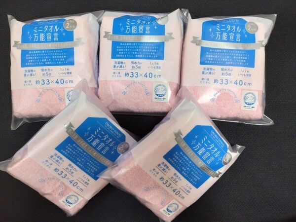 OBORO TOWEL ミニタオル 万能宣言 2枚組x5 SP/LL 日本アトピー協会推薦 おぼろタオル ハンカチ まとめ売り