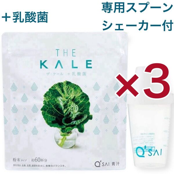 【+乳酸菌】青汁 ザ・ケール 粉末 420g入×3 約90日分 専用スプーン×2・シャカシャカカップ×2 賞味期限2026.5月