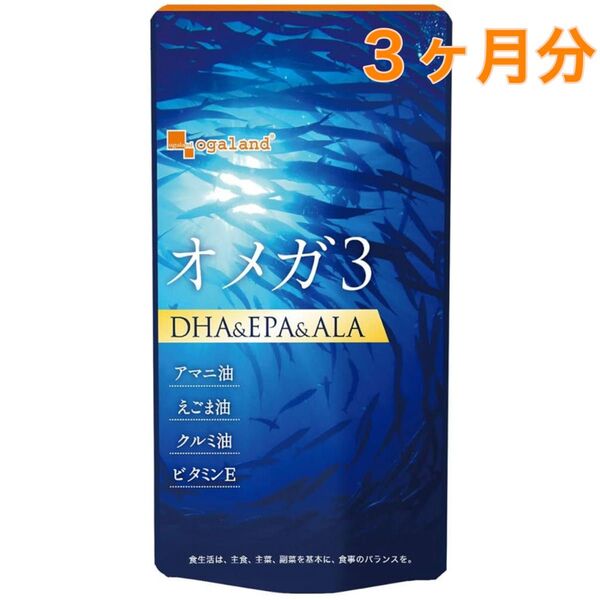 オメガ3 (約3ヶ月分) DHA EPA サプリメント 必須脂肪酸 α-リノレン酸 アマニ油 魚えごま油 賞味期限2026.12月