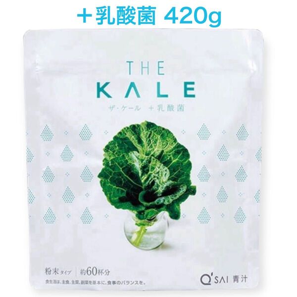 【+乳酸菌】THE KALE ケール青汁 粉末タイプ 約60杯分 国産ケール 食物繊維 賞味期限2026.5月 簡易包装