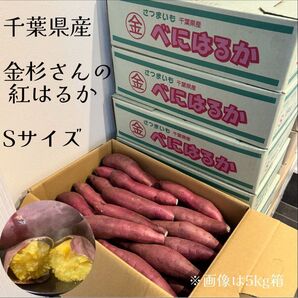 トースターでびっくりされる焼き芋ができます! A等級品 千葉県かとり産 金杉さんの紅はるか Sサイズ 箱込3kg 貯蔵熟成分