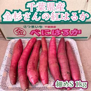 お取り寄せグルメ 千葉県かとり産 紅はるか Sサイズ 1kg 細め