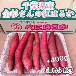 絶品 お取り寄せグルメ 千葉県かとり産 紅はるか Sサイズ 1.4kg 細め 一番お得♪