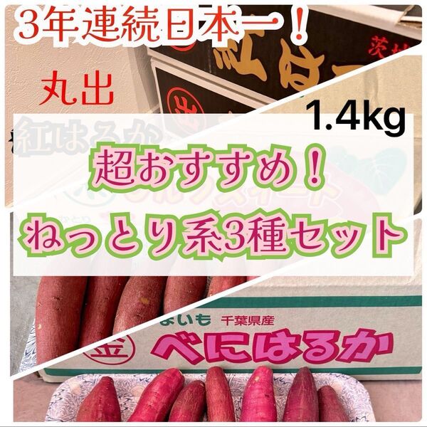 限定1セット オススメ3種セット 千葉県かとりシルクスイート 紅はるか 茨城県 丸出 紅はるか 1.4kg