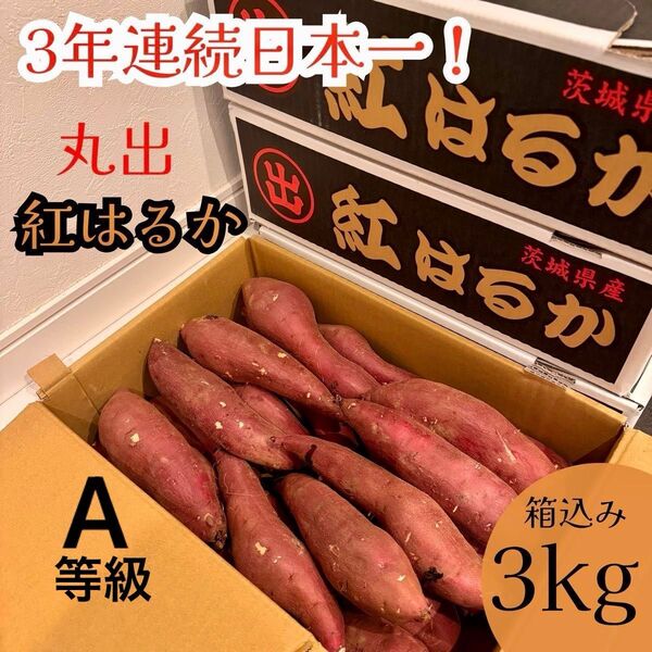 間も無く今季分終了 日本一のさつまいも 茨城県産 紅はるか 丸出 AMサイズ 箱込み3kg ねっとり系 甘い さつまいも