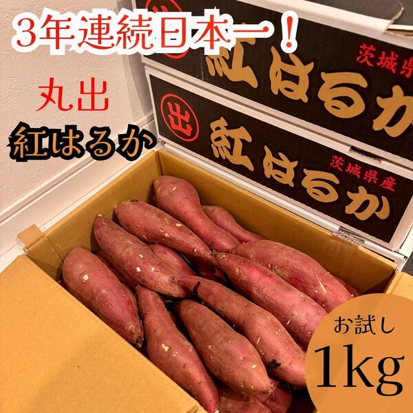 間も無く今季分終了 日本一のさつまいも 茨城県産 紅はるか 丸出 AMサイズ 1kg ねっとり系 甘い さつまいも